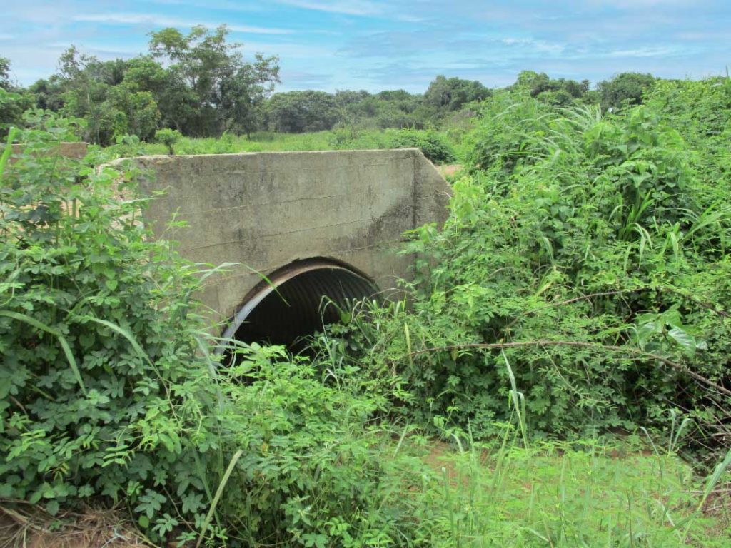 pont-dans-la-verdure